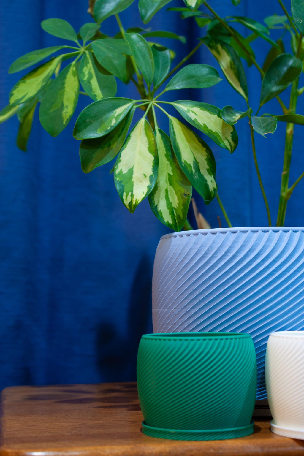 Spiral Planter with Drip Tray - Eco-conscious Bioplastic PHA