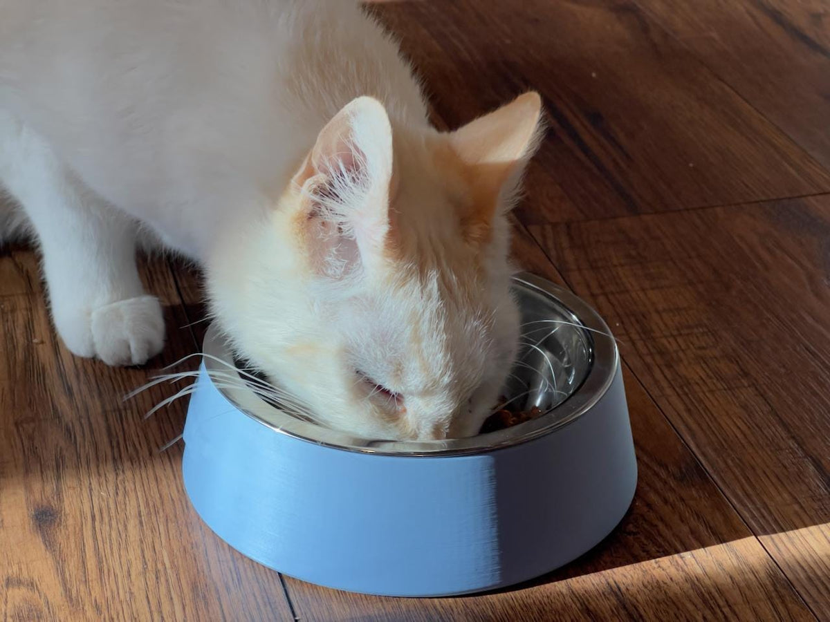 Elevated Cat Bowl Customized with your Pet's Name - Stainless Steel Insert - Raised Pet Dish