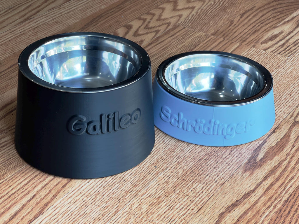 Elevated Cat Bowl Customized with your Pet's Name - Stainless Steel Insert - Raised Pet Dish