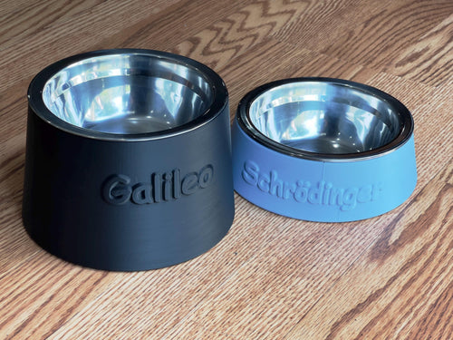 Elevated Cat Bowl Customized with your Pet's Name - Stainless Steel Insert - Raised Pet Dish