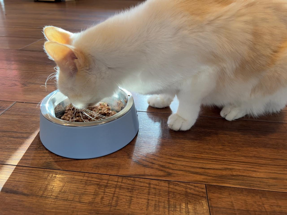 Elevated Cat Bowl Customized with your Pet's Name - Stainless Steel Insert - Raised Pet Dish